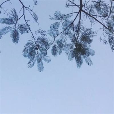 择仙记游戏下载